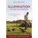 Illumination-in-the-Flatwoods