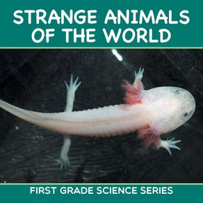 Strange-Animals-Of-The-World