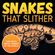 Snakes-That-Slither
