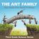 The-Ant-Family---Fun-Facts-You-Need-To-Know
