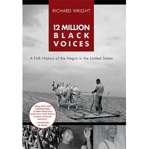 12-Million-Black-Voices