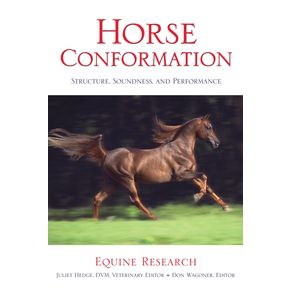 Horse-Conformation