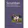 Scrumban---Essays-on-Kanban-Systems-for-Lean-Software-Development