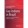 Gay-Indians-in-Brazil