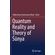 Quantum-Reality-and-Theory-of-Sunya