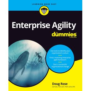 Enterprise-Agility-FD