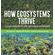 How-Ecosystems-Thrive