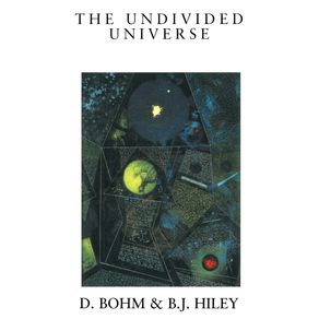The-Undivided-Universe