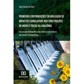 Primeiras-contribuicoes-em-avaliacao-de-impactos-cumulativos-nas-construcoes-de-hidreletricas-na-Amazonia--um-estudo-bibliografico-dos-efeitos-cumulativos-nas-bacias-hidrograficas