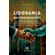 Lideranca-nas-organizacoes--uma-relacao-intrapessoal-ou-interpessoal--Um-debate-sobre-o-fenomeno-dos-novos-lideres