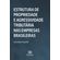 Estrutura-de-propriedade-e-agressividade-tributaria-nas-empresas-brasileiras