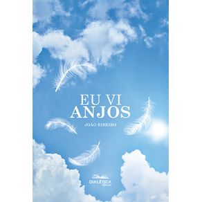 Eu-Vi-Anjos