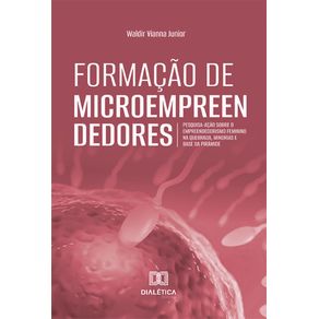 Formacao-de-Microempreendedores:-pesquisa-acao-sobre-o-empreendedorismo-feminino-na-Quebrada,-Minorias-e-Base-da-Piramide