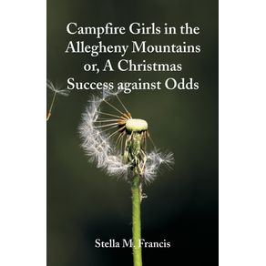 Campfire-Girls-in-the-Allegheny-Mountains