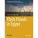 Flash-Floods-in-Egypt