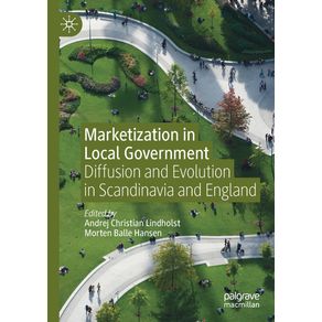 Marketization-in-Local-Government