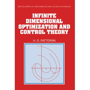 Infinite-Dimensional-Optimization-and-Control-Theory