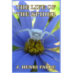 The-Life-of-the-Spider