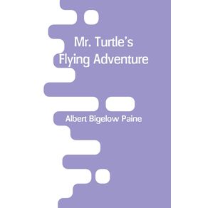 Mr.-Turtles-Flying-Adventure