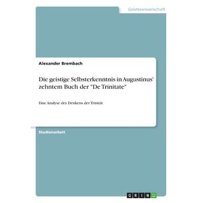 Die-geistige-Selbsterkenntnis-in-Augustinus-zehntem-Buch-der-De-Trinitate