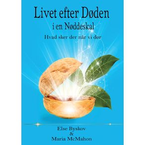 Livet-efter-doden-i-en-Noddeskal