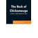 The-Rock-of-Chickamauga