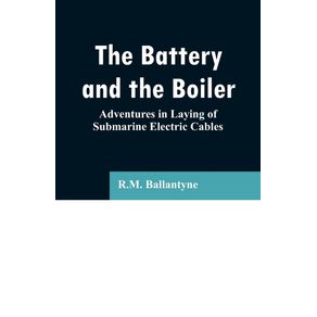 The-Battery-and-the-Boiler
