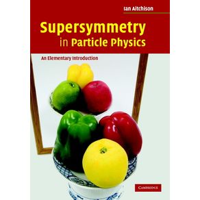 Supersymmetry-in-Particle-Physics
