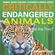Critically-Endangered-Animals