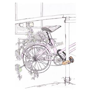 Illustrated-Notebook