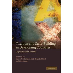 Taxation-and-State-Building-in-Developing-Countries