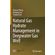 Natural-Gas-Hydrate-Management-in-Deepwater-Gas-Well