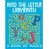 Into-the-Letter-Labyrinth--A-Book-of-Mazes-