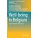 Well-being-in-Belgium