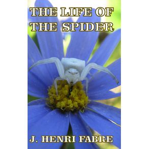 The-Life-of-the-Spider