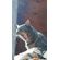 Kids-Petite-Barn-Cat-Journal---Volume-Two