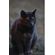 Kids-Petite-Barn-Cat-Journal