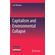 Capitalism-and-Environmental-Collapse