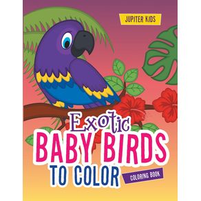 Exotic-Baby-Birds-to-Color-Coloring-Book