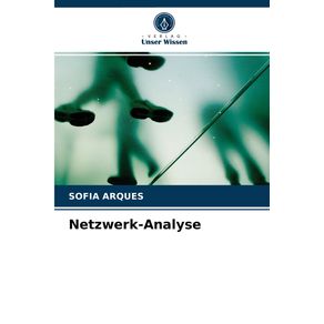 Netzwerk-Analyse