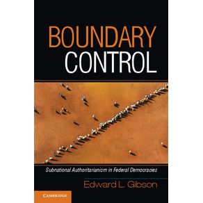 Boundary-Control