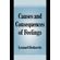 Causes-and-Consequences-of-Feelings