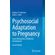 Psychosocial-Adaptation-to-Pregnancy