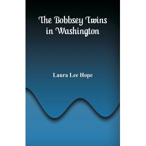 The-Bobbsey-Twins-in-Washington