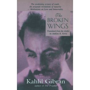 The-Broken-Wings