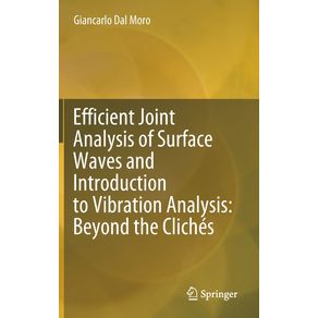 Efficient-Joint-Analysis-of-Surface-Waves-and-Introduction-to-Vibration-Analysis