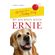 My-Journey-with-Ernie