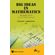 Big-Ideas-in-Mathematics