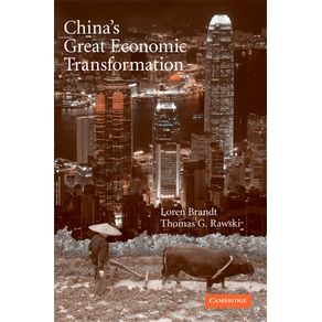 Chinas-Great-Economic-Transformation