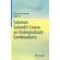 Solomon-Golombs-Course-on-Undergraduate-Combinatorics
